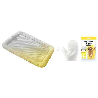 50% RABATT 🐶🧊 Kühlmatte für Haustiere