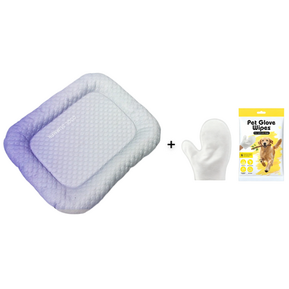 50% RABATT 🐶🧊 Kühlmatte für Haustiere
