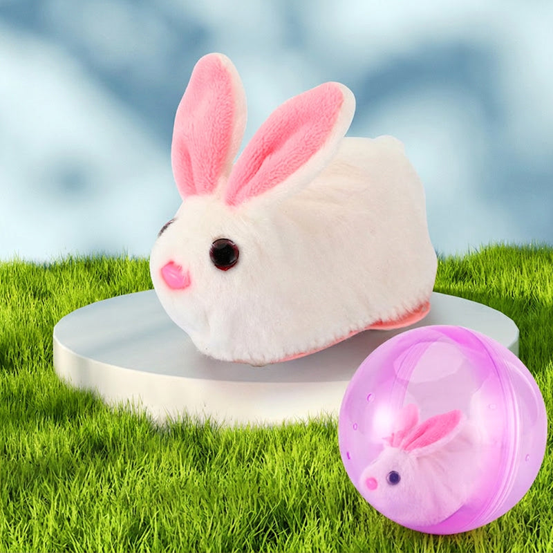 Rollender Plüsch-Spielball 🐱🎾