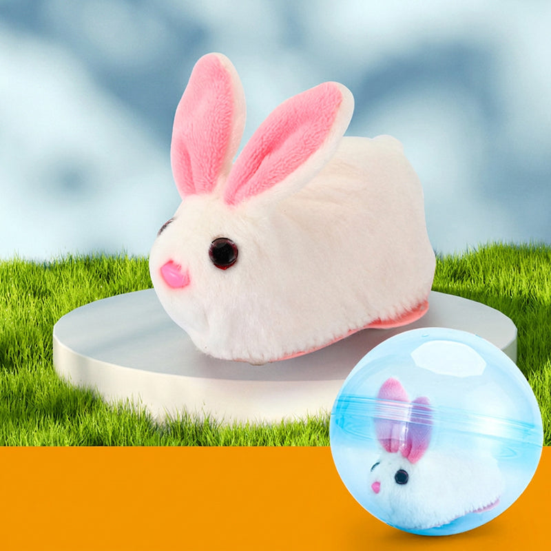 Rollender Plüsch-Spielball 🐱🎾