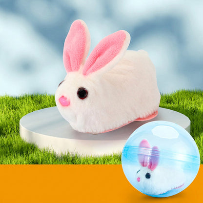 Rollender Plüsch-Spielball 🐱🎾